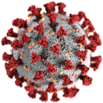 Rendering of the COVID-19 virus